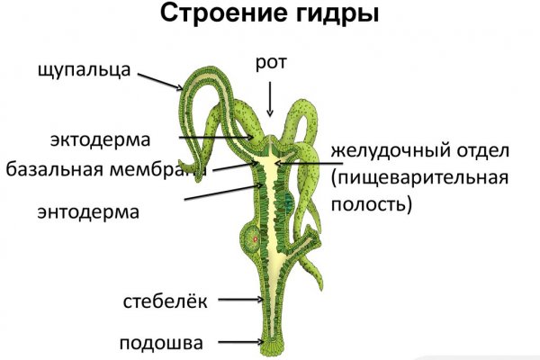 Кракен аккаунт не найден